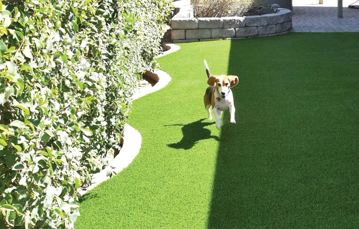 Drainage and Base Preparation in Rosenberg, TX